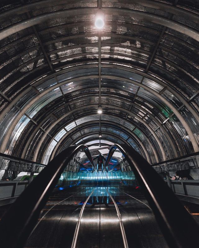 Вуличні фото міст світу від Райана Мамби: захопливі кадри - фото 302972