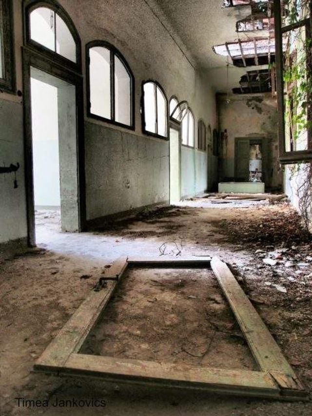 Прогулянка островом, населеним примарами: моторошні фото - фото 303170