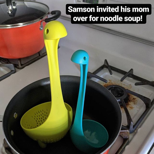 Жінка завела Instagram для черпака і прославилася- фото 303244