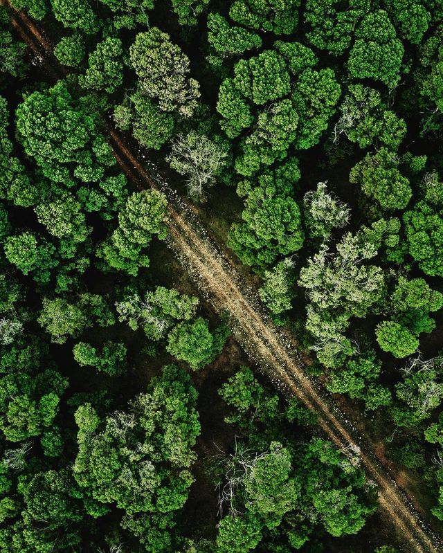 Кенія з висоти пташиного польоту: ефектні фото - фото 303275