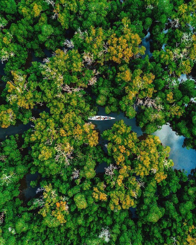 Кенія з висоти пташиного польоту: ефектні фото - фото 303279