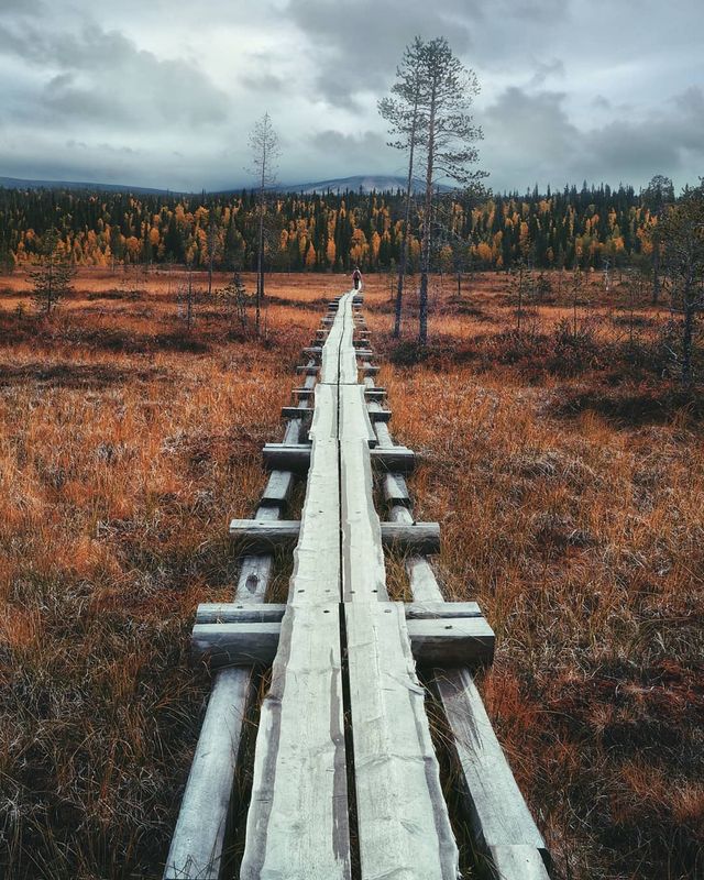 Казкова краса Фінляндії, від якої перехоплює дух: яскраві фото - фото 303301