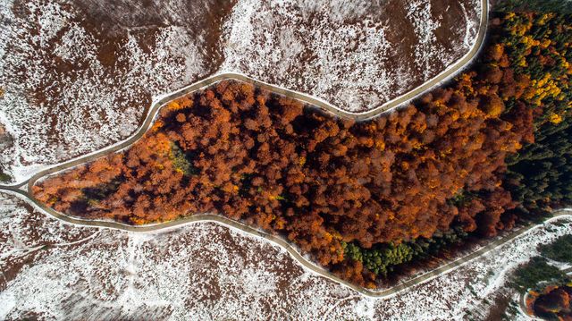Трансільванія, від якої перехоплює дух: фото з висоти - фото 303402