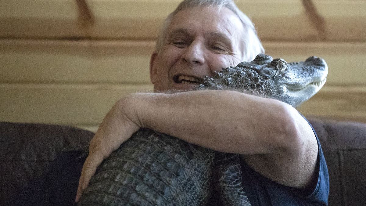 Американець Джоуї Хінні приручив алігатора - фото 1