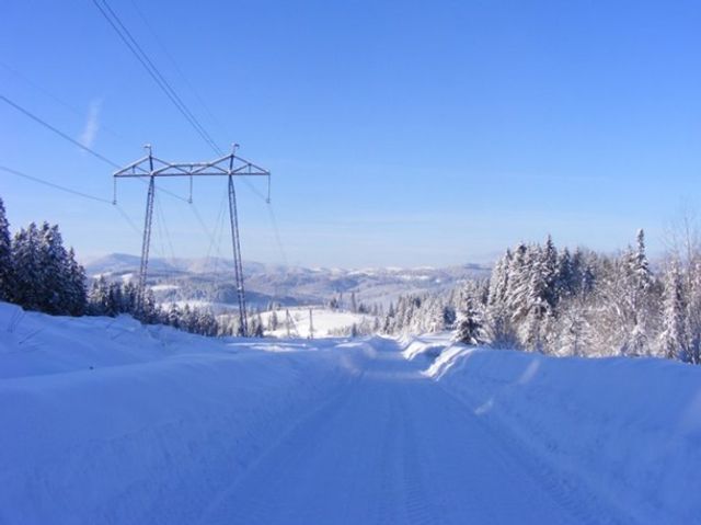 Карпати замело снігом: казкові фото - фото 303596