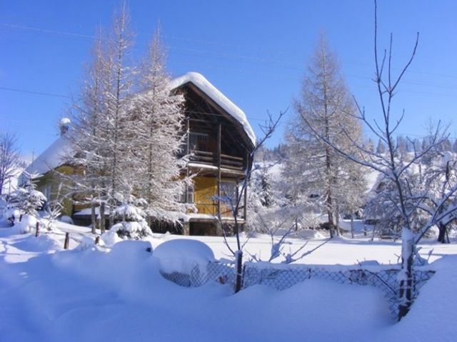 Карпати замело снігом: казкові фото - фото 303598