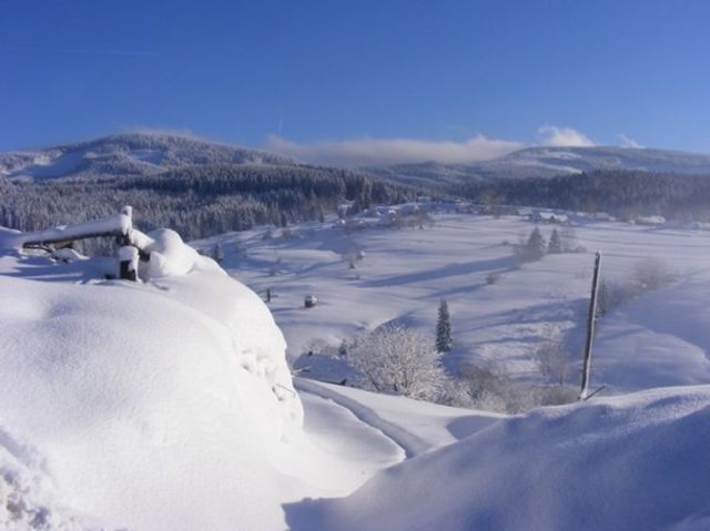 Карпати замело снігом: казкові фото - фото 303599
