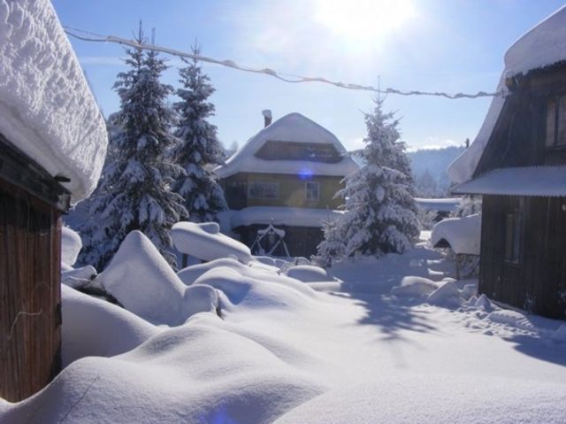 Карпати замело снігом: казкові фото - фото 303600