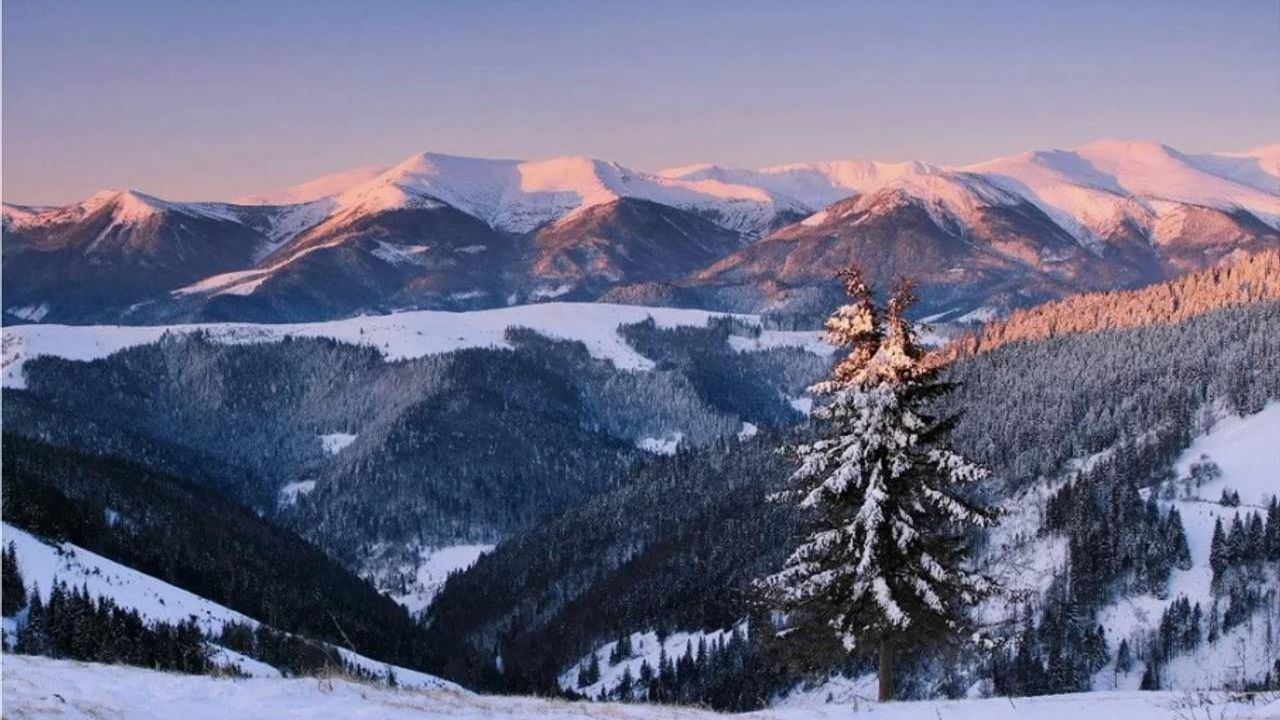 Карпати замело снігом: казкові фото