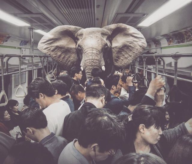 Фантастичні фото іншого світу, які змушують затримати погляд - фото 303764