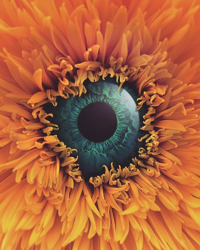 Фантастичні фото іншого світу, які змушують затримати погляд - фото 303766