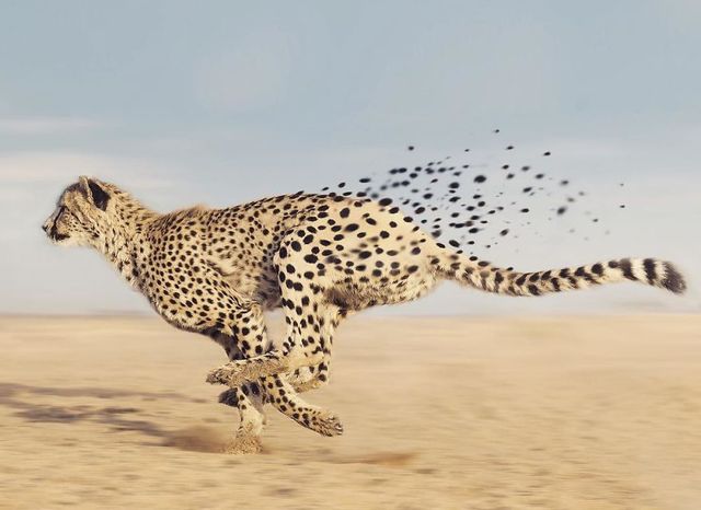 Фантастичні фото іншого світу, які змушують затримати погляд - фото 303775