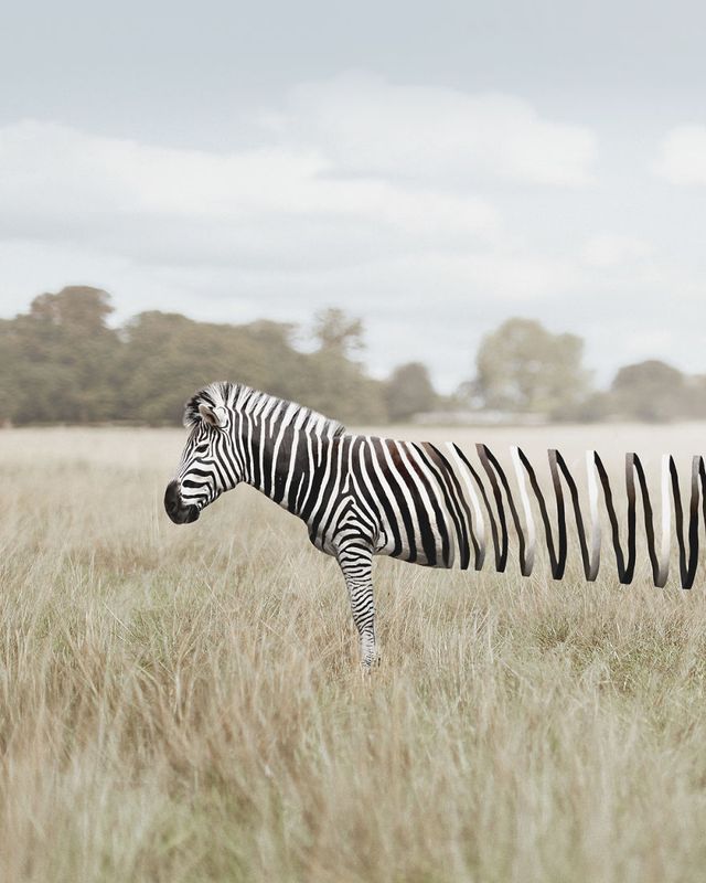 Фантастичні фото іншого світу, які змушують затримати погляд - фото 303776