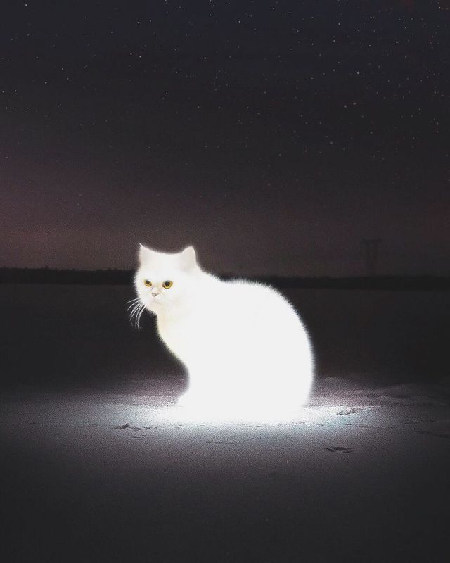 Фантастичні фото іншого світу, які змушують затримати погляд - фото 303777