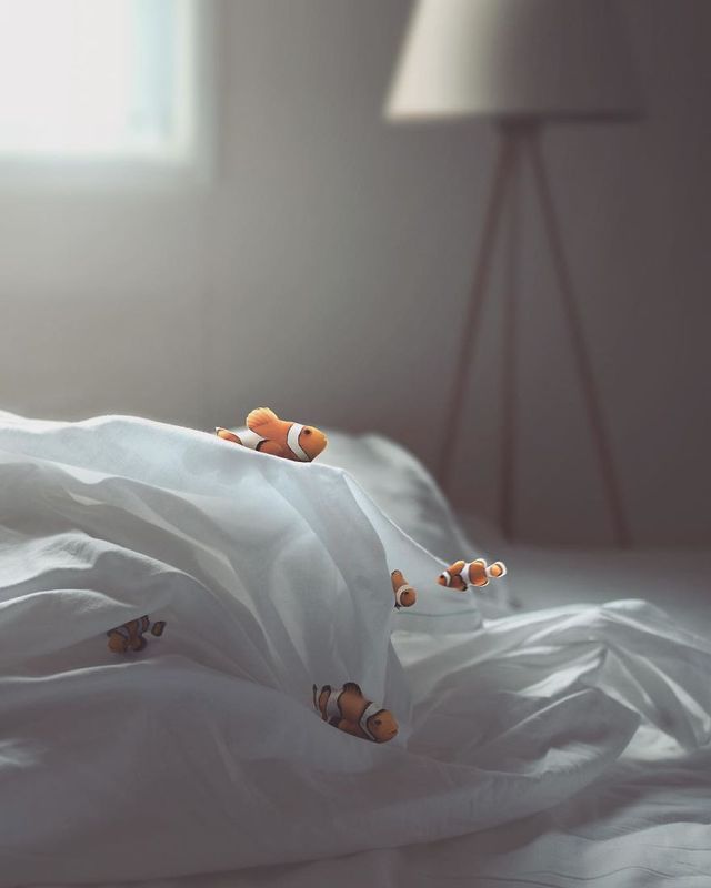 Фантастичні фото іншого світу, які змушують затримати погляд - фото 303780