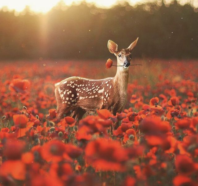 Фантастичні фото іншого світу, які змушують затримати погляд - фото 303783