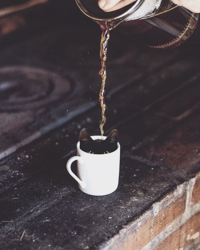 Фантастичні фото іншого світу, які змушують затримати погляд - фото 303784