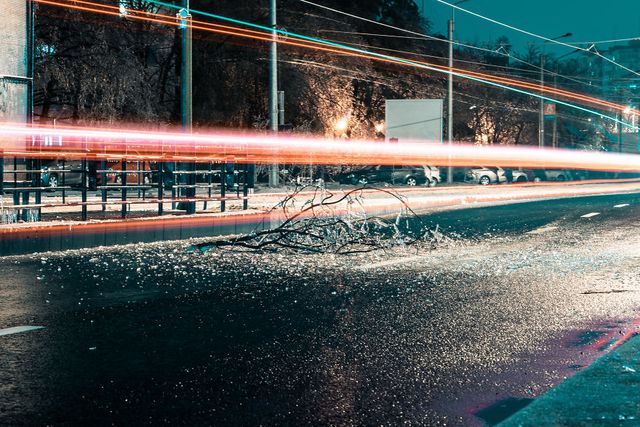 Крижана буря у Бухаресті: вражаючі фото замерзлого міста - фото 304337