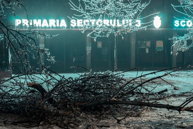 Крижана буря у Бухаресті: вражаючі фото замерзлого міста - фото 304341