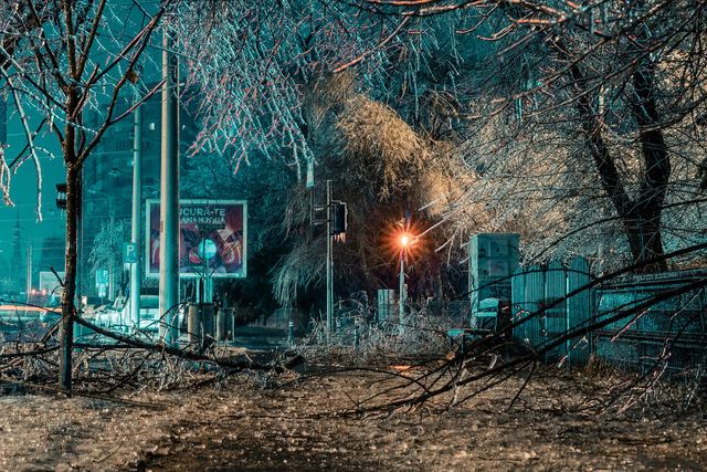 Крижана буря у Бухаресті: вражаючі фото замерзлого міста - фото 304343