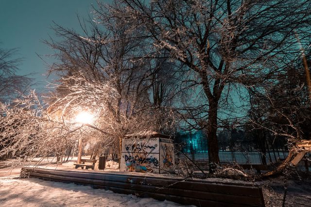 Крижана буря у Бухаресті: вражаючі фото замерзлого міста - фото 304346