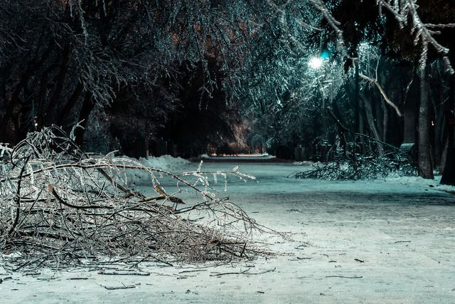 Крижана буря у Бухаресті: вражаючі фото замерзлого міста - фото 304348