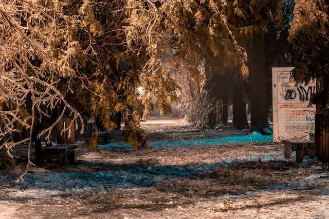 Крижана буря у Бухаресті: вражаючі фото замерзлого міста - фото 304349