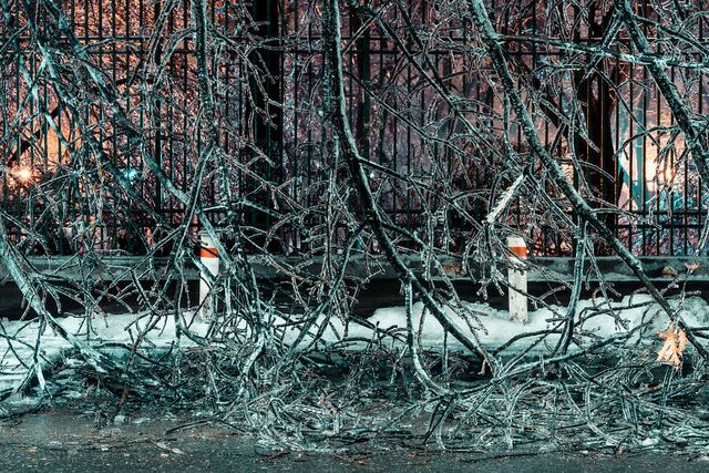 Крижана буря у Бухаресті: вражаючі фото замерзлого міста - фото 304350