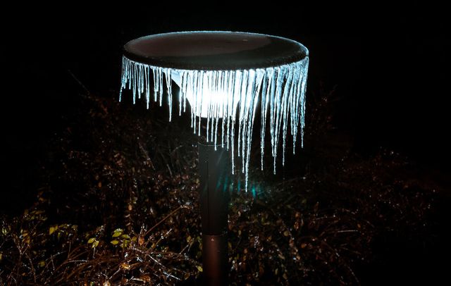 Крижана буря у Бухаресті: вражаючі фото замерзлого міста - фото 304352