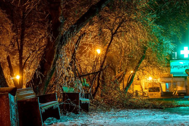 Крижана буря у Бухаресті: вражаючі фото замерзлого міста - фото 304353