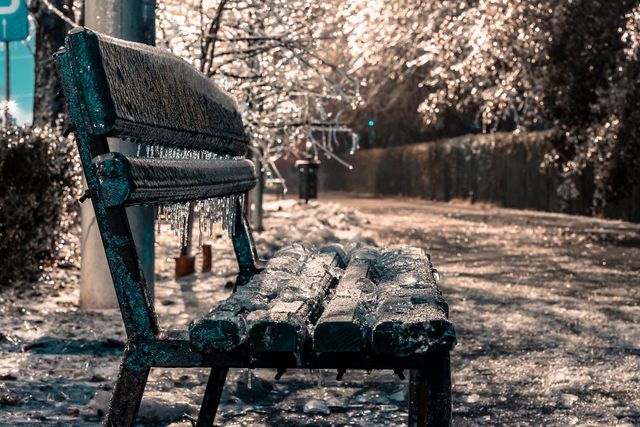 Крижана буря у Бухаресті: вражаючі фото замерзлого міста - фото 304354