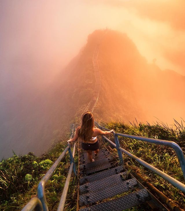 Неймовірні пейзажі світу в об'єктиві Мо Хабіба: сонячні фото - фото 304365