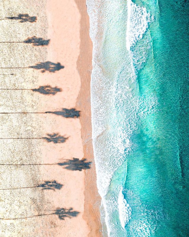 Неймовірні пейзажі світу в об'єктиві Мо Хабіба: сонячні фото - фото 304371