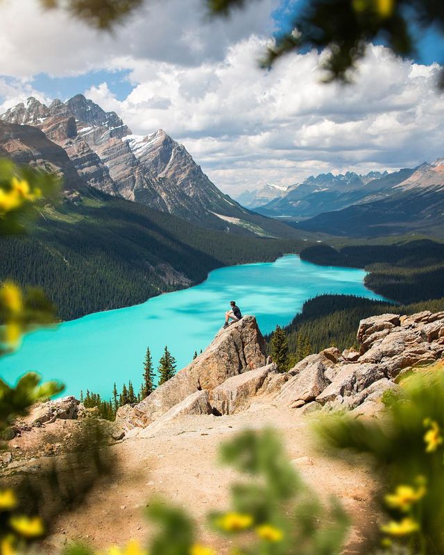 Неймовірні пейзажі світу в об'єктиві Мо Хабіба: сонячні фото - фото 304379