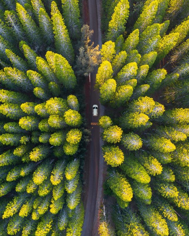 Неймовірні пейзажі світу в об'єктиві Мо Хабіба: сонячні фото - фото 304387