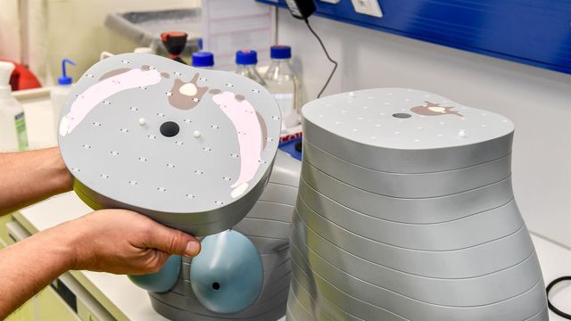 На Місяць відправлять манекени, щоб виміряти радіацію - фото 304514