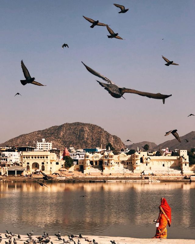 Індія очима українського фотографа: атмосферні фото - фото 304622