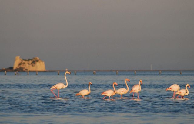 Мрія рибалок з усього світу – річка Ебро - фото 305598