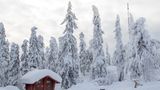 Захопливе відео з Фінляндії підкорило Reddit