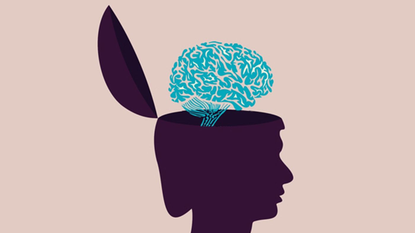 Чим відрізняється жіночий мозок від чоловічого - фото 1