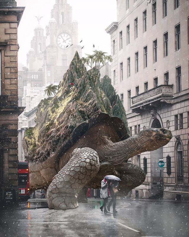 Фантастичні фото британця змусять вас затримати погляд на них - фото 305802