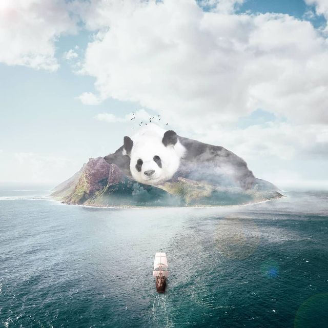 Фантастичні фото британця змусять вас затримати погляд на них - фото 305803