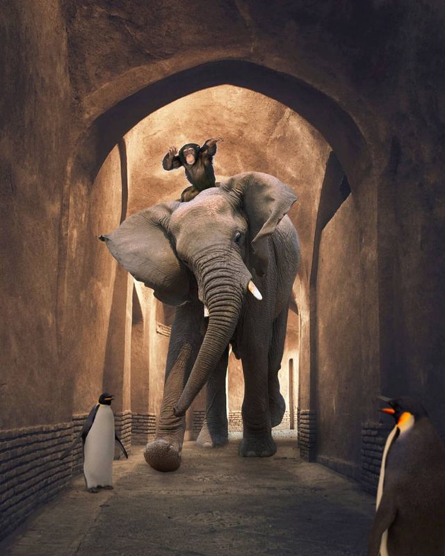 Фантастичні фото британця змусять вас затримати погляд на них - фото 305804