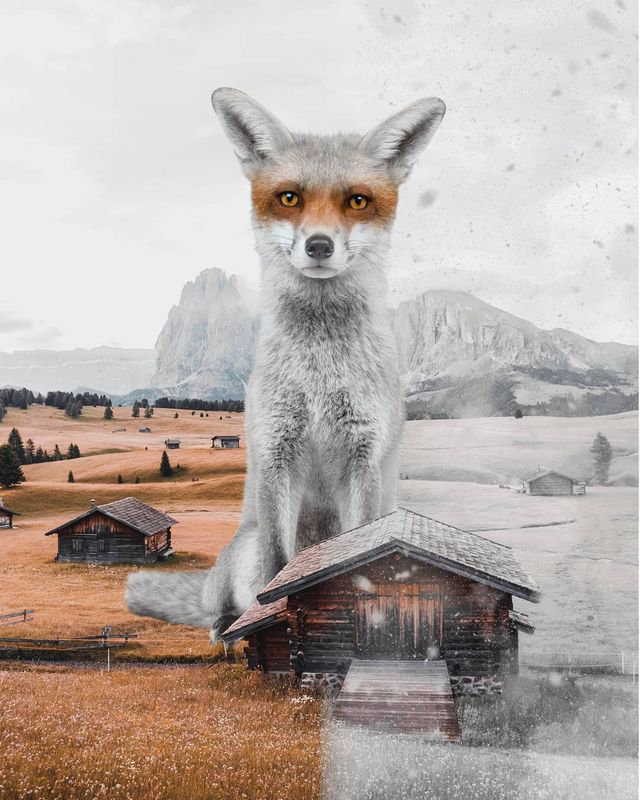 Фантастичні фото британця змусять вас затримати погляд на них - фото 305809