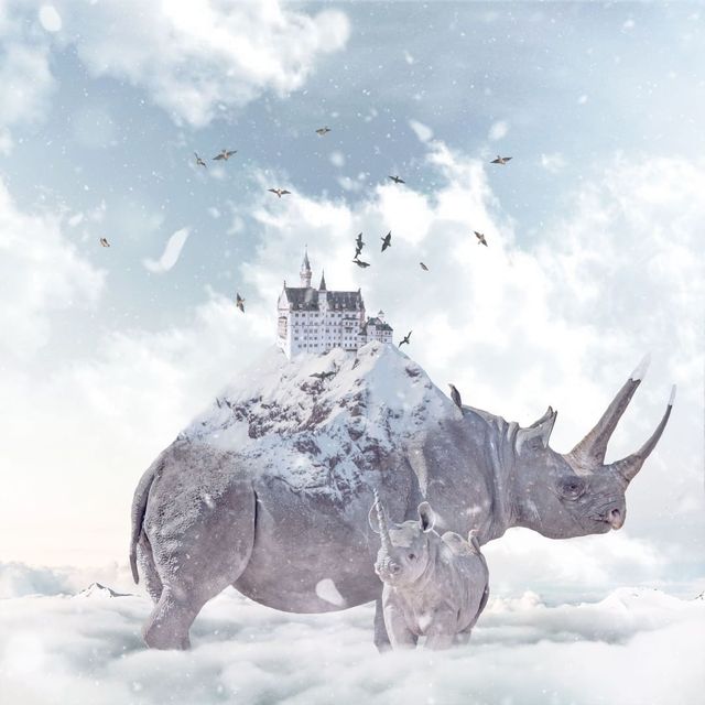 Фантастичні фото британця змусять вас затримати погляд на них - фото 305810