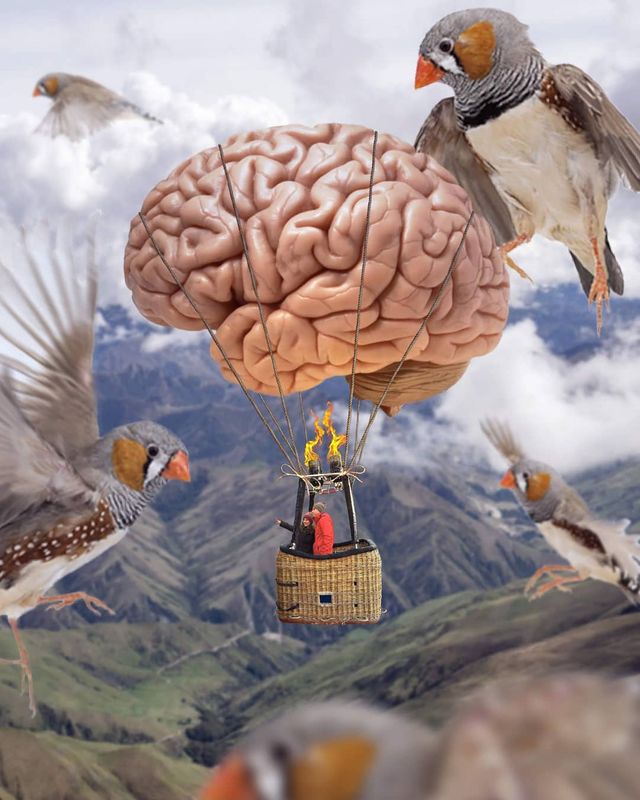 Фантастичні фото британця змусять вас затримати погляд на них - фото 305812