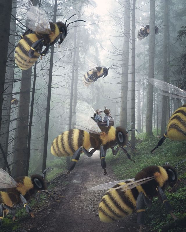 Фантастичні фото британця змусять вас затримати погляд на них - фото 305813