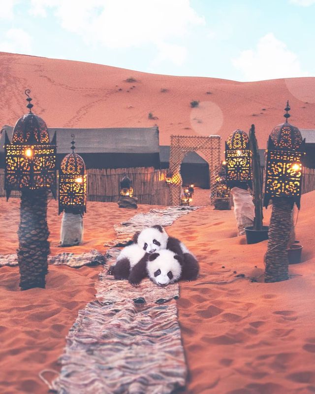 Фантастичні фото британця змусять вас затримати погляд на них - фото 305814