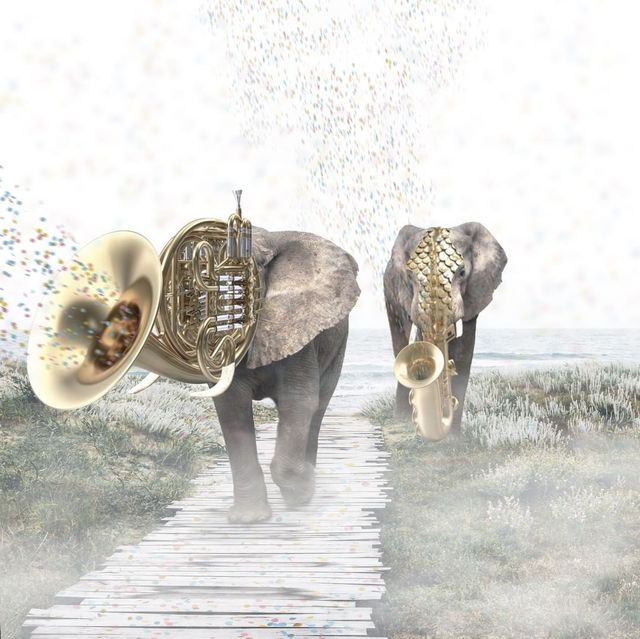 Фантастичні фото британця змусять вас затримати погляд на них - фото 305817