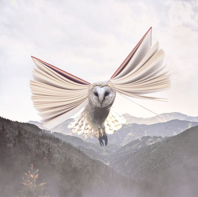 Фантастичні фото британця змусять вас затримати погляд на них - фото 305822